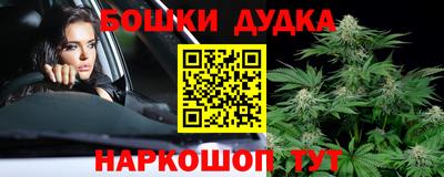 сатива Гай