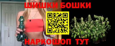 сатива Гай