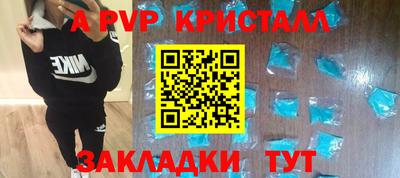 сатива Гай