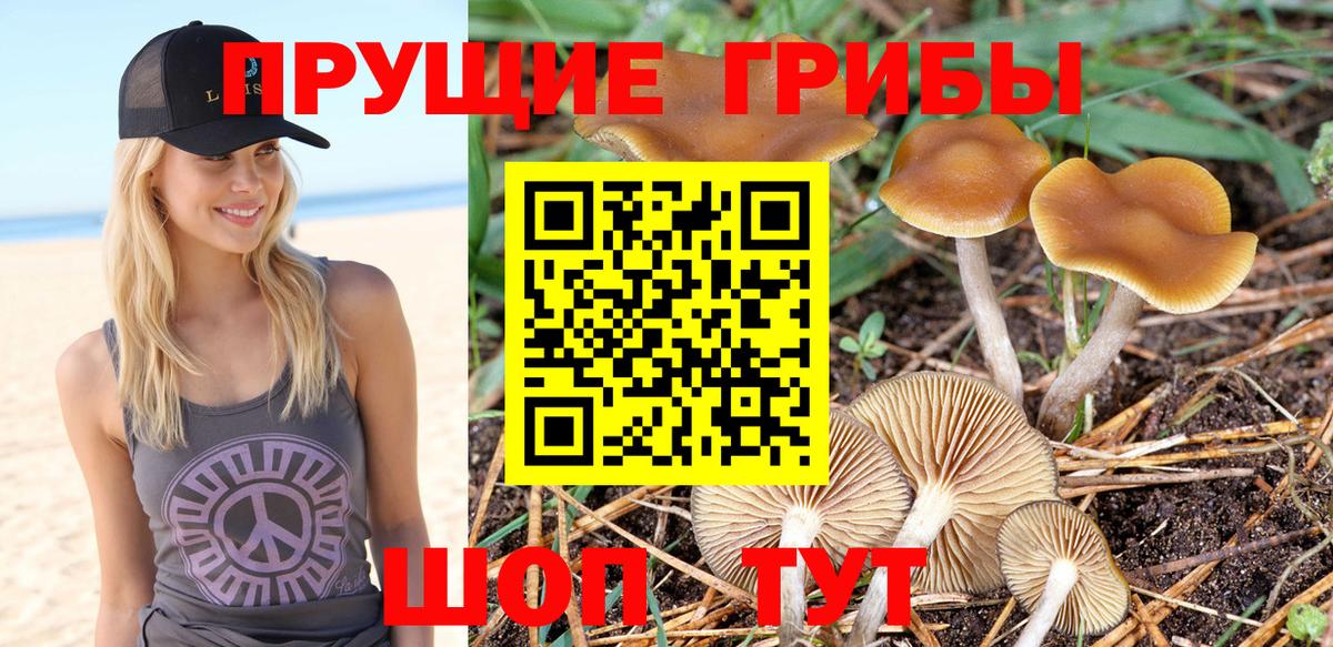 Белореченск  Псилоцибиновые грибы Cubensis  где найти наркотики  Вход с VPN 