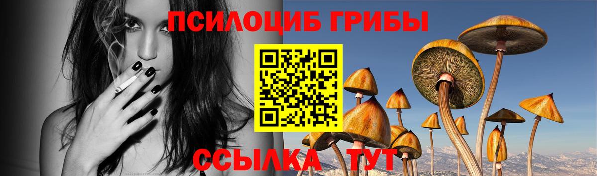 Псилоцибиновые грибы мухоморы Белореченск
